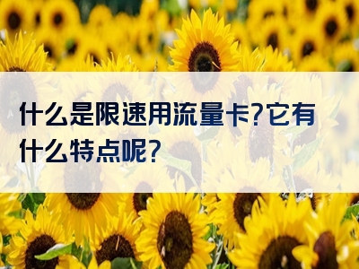 什么是限速用流量卡？它有什么特点呢？