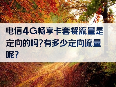 电信4G畅享卡套餐流量是定向的吗？有多少定向流量呢？