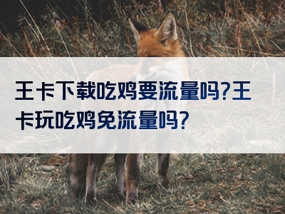 王卡下载吃鸡要流量吗？王卡玩吃鸡免流量吗？