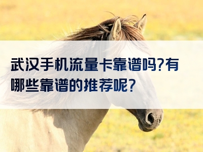 武汉手机流量卡靠谱吗？有哪些靠谱的推荐呢？