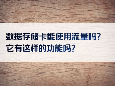 数据存储卡能使用流量吗？它有这样的功能吗？