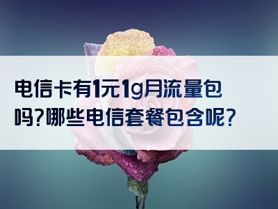 电信卡有1元1g月流量包吗？哪些电信套餐包含呢？