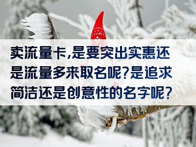 卖流量卡，是要突出实惠还是流量多来取名呢？是追求简洁还是创意性的名字呢？