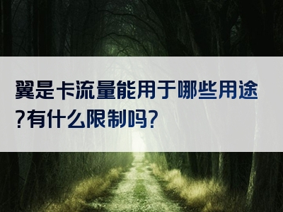 翼是卡流量能用于哪些用途？有什么限制吗？