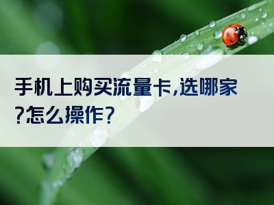 手机上购买流量卡，选哪家？怎么操作？