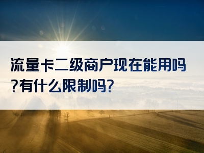 流量卡二级商户现在能用吗？有什么限制吗？