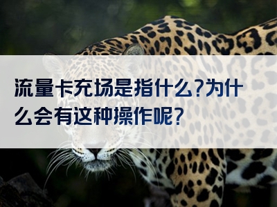 流量卡充场是指什么？为什么会有这种操作呢？