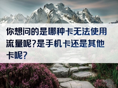 你想问的是哪种卡无法使用流量呢？是手机卡还是其他卡呢？
