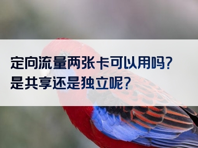 定向流量两张卡可以用吗？是共享还是独立呢？