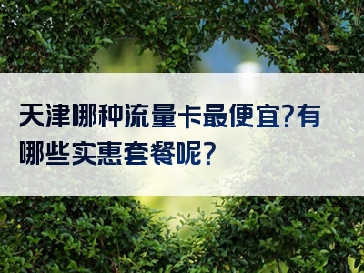 天津哪种流量卡最便宜？有哪些实惠套餐呢？