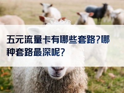 五元流量卡有哪些套路？哪种套路最深呢？