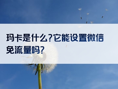 玛卡是什么？它能设置微信免流量吗？