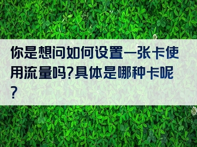 你是想问如何设置一张卡使用流量吗？具体是哪种卡呢？