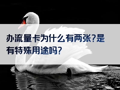 办流量卡为什么有两张？是有特殊用途吗？