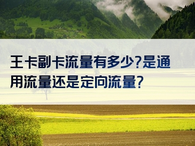 王卡副卡流量有多少？是通用流量还是定向流量？