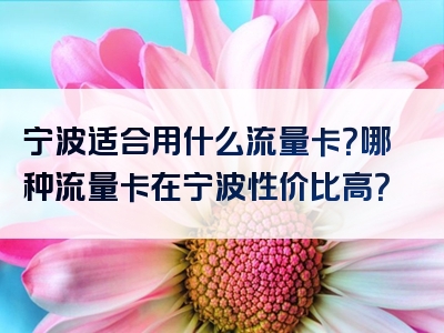 宁波适合用什么流量卡？哪种流量卡在宁波性价比高？