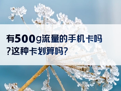 有500g流量的手机卡吗？这种卡划算吗？