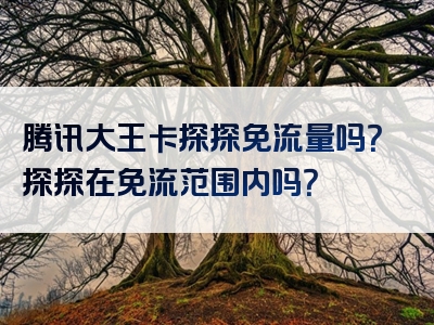 腾讯大王卡探探免流量吗？探探在免流范围内吗？