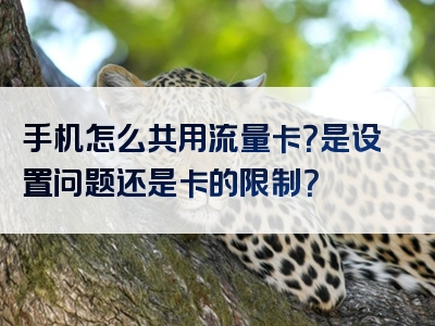 手机怎么共用流量卡？是设置问题还是卡的限制？