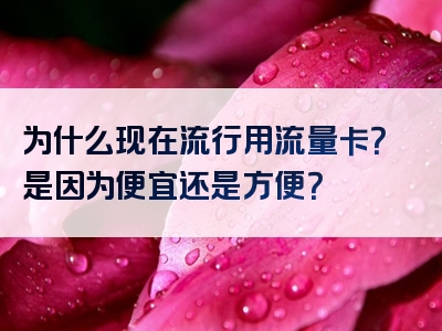为什么现在流行用流量卡？是因为便宜还是方便？