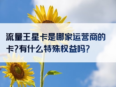 流量王星卡是哪家运营商的卡？有什么特殊权益吗？