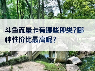 斗鱼流量卡有哪些种类？哪种性价比最高呢？
