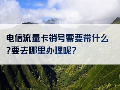 电信流量卡销号需要带什么？要去哪里办理呢？