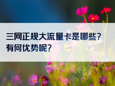 三网正规大流量卡是哪些？有何优势呢？