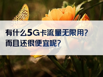 有什么5G卡流量无限用？而且还很便宜呢？