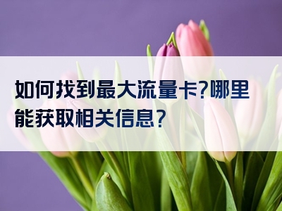 如何找到最大流量卡？哪里能获取相关信息？