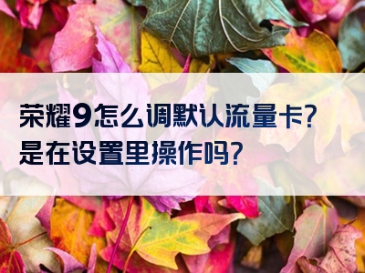 荣耀9怎么调默认流量卡？是在设置里操作吗？