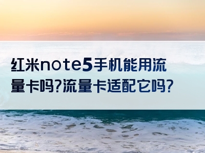 红米note5手机能用流量卡吗？流量卡适配它吗？