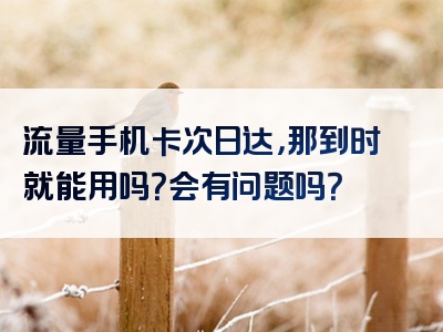 流量手机卡次日达，那到时就能用吗？会有问题吗？