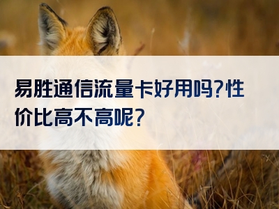 易胜通信流量卡好用吗？性价比高不高呢？