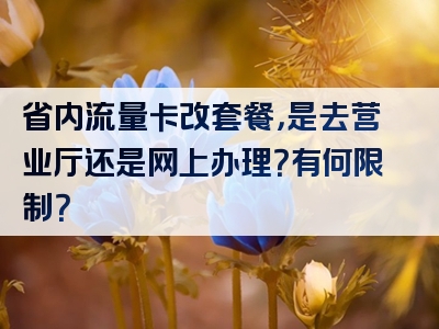 省内流量卡改套餐，是去营业厅还是网上办理？有何限制？