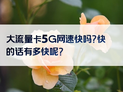 大流量卡5G网速快吗？快的话有多快呢？