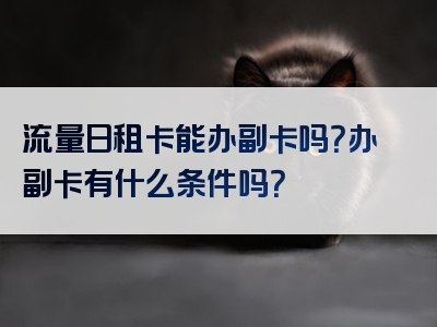 流量日租卡能办副卡吗？办副卡有什么条件吗？