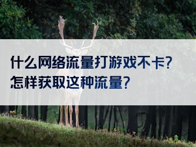 什么网络流量打游戏不卡？怎样获取这种流量？