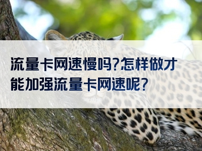 流量卡网速慢吗？怎样做才能加强流量卡网速呢？