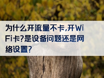 为什么开流量不卡，开WiFi卡？是设备问题还是网络设置？