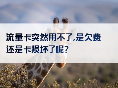 流量卡突然用不了，是欠费还是卡损坏了呢？