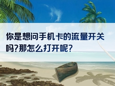 你是想问手机卡的流量开关吗？那怎么打开呢？