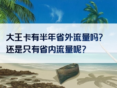 大王卡有半年省外流量吗？还是只有省内流量呢？