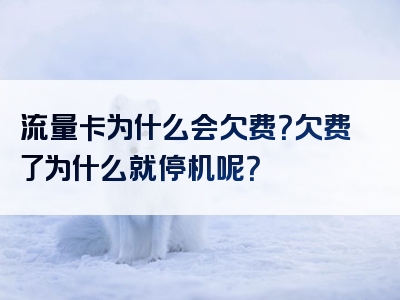 流量卡为什么会欠费？欠费了为什么就停机呢？