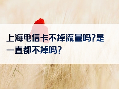 上海电信卡不掉流量吗？是一直都不掉吗？