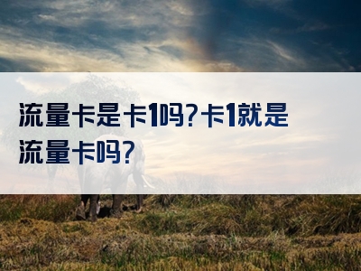 流量卡是卡1吗？卡1就是流量卡吗？