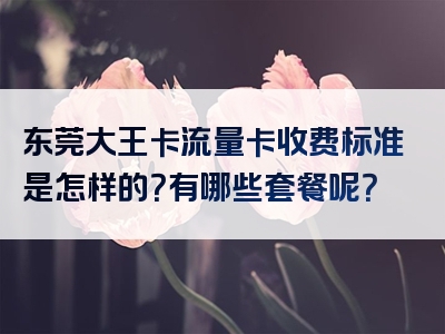东莞大王卡流量卡收费标准是怎样的？有哪些套餐呢？