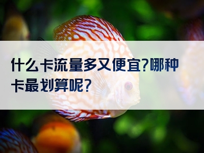 什么卡流量多又便宜？哪种卡最划算呢？