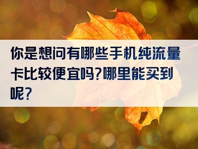 你是想问有哪些手机纯流量卡比较便宜吗？哪里能买到呢？
