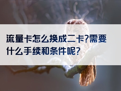 流量卡怎么换成二卡？需要什么手续和条件呢？